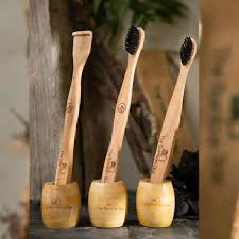 Bamboo Brush with Holder