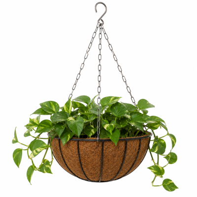 coir hanging pots| coco nest planting