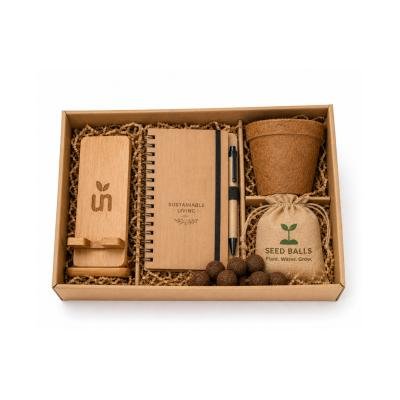 Eco friendly gift box| pack of 4| Budget friendly gift pack
