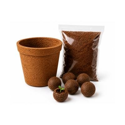 Coco pot with seedball| Combo of coco pot, Seedballs and Coco powder